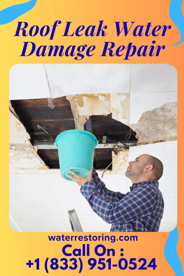 Roof Leak Water Damage Repair in Dawson, IL