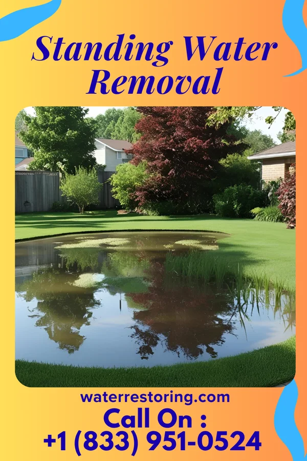 Standing Water Removal in Dawson, IL